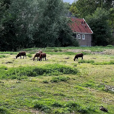 Guest In Thatched Westfrisian 1878 Séjour à la campagne
