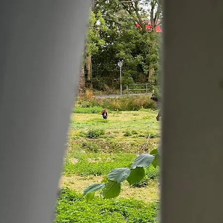 Guest In Thatched Westfrisian 1878 Séjour à la campagne *